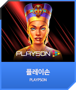 플레이슨